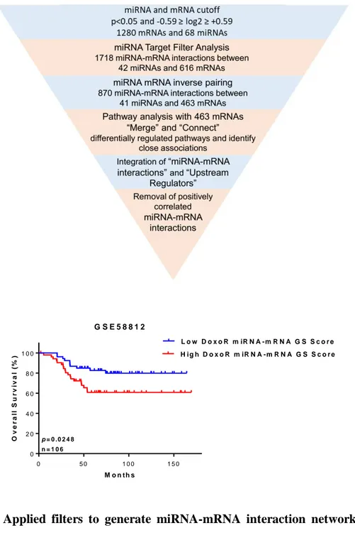 Figure  4.  2.  Applied  filters  to  generate  miRNA-mRNA  interaction  network  of  TNBC  chemoresistance and validation of DoxoR miRNA-mRNA GS score in TNBC patients