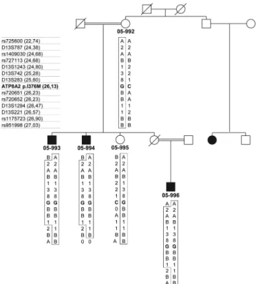 Figure 1 Pedigree of Family C with haplotype structure of the disease interval on chromosome 13q12