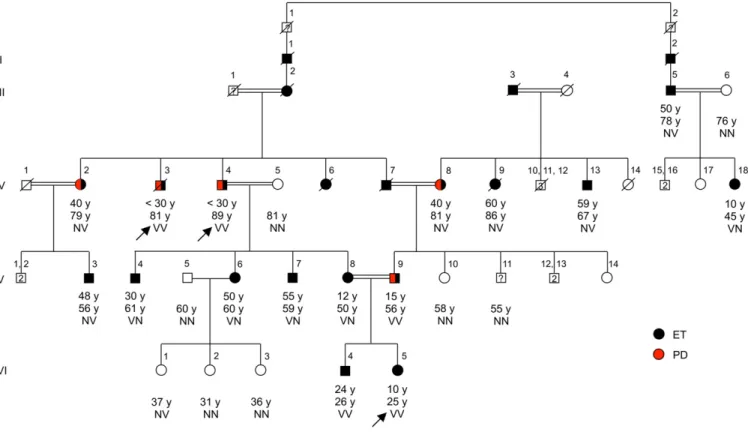 Fig. 1. Pedigree of family ET-1 segregating essential tremor, with genotypes at HTRA2 p.G399S