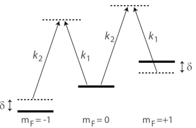 Figure 1.1: Illustration of the dressed states of a system in F = 1 hyperfine level, representing the experimental scheme employed by Ref