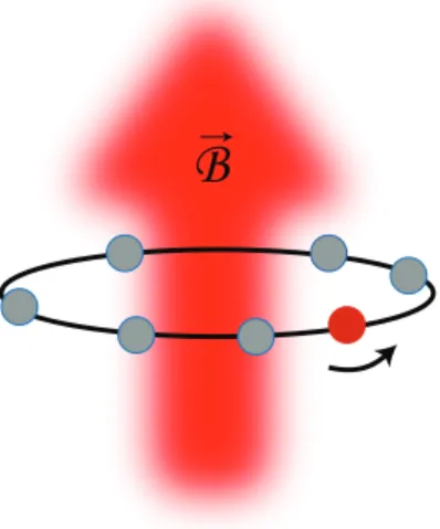 Figure 2.1: A simple illustration of the system. N − 1 uncharged fermions (light gray) and a single charged impurity (dark gray) are trapped on a ring