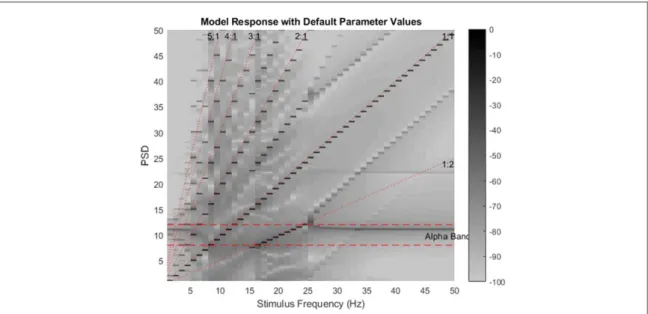 Figure 3. The two dimensional plot of the model responses to stimulation frequencies from 1 to 50 Hz with parameter values chosen as in table1