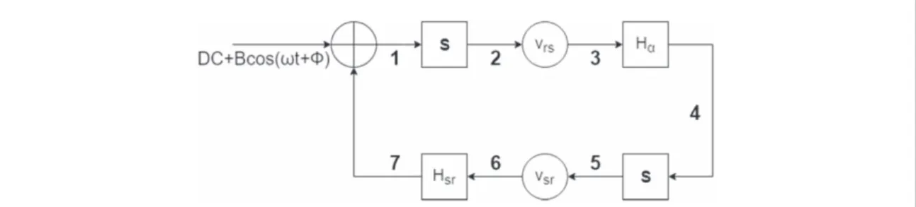 Figure 6. The isolated intrathalamic loop consists of two nonlinear elements (S), two gain elements (v rs and v sr ) and two second order low pass ﬁlters (H a and H sr )