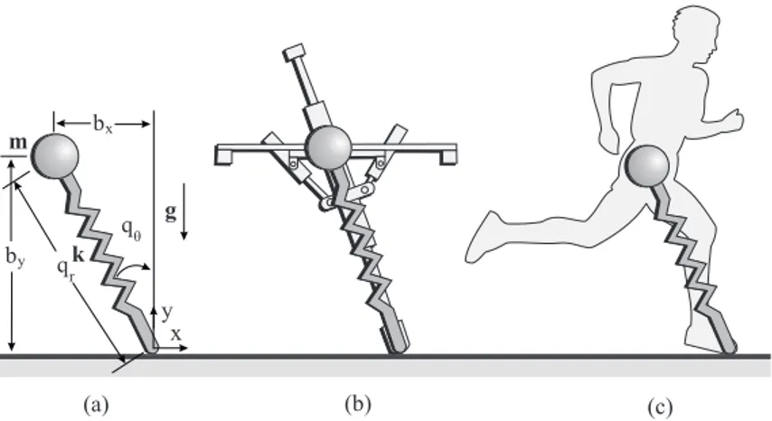 Figure 1.2: (a) The SLIP model, (b) Raibert’s hopper, (c) A human runner.