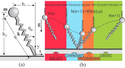 Figure 2.1: The SLIP Model. (a) Coordinates and model parameters. (b) Loco- Loco-motion phases (shaded regions) and transition events (boundaries).