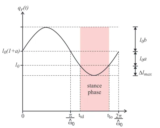 Figure 2.4: General solution for the leg length, q r (t), during stance. The sinu- sinu-soidal solution has amplitude l 0 b and frequency ˆω 0 with offset l 0 (1+ a)
