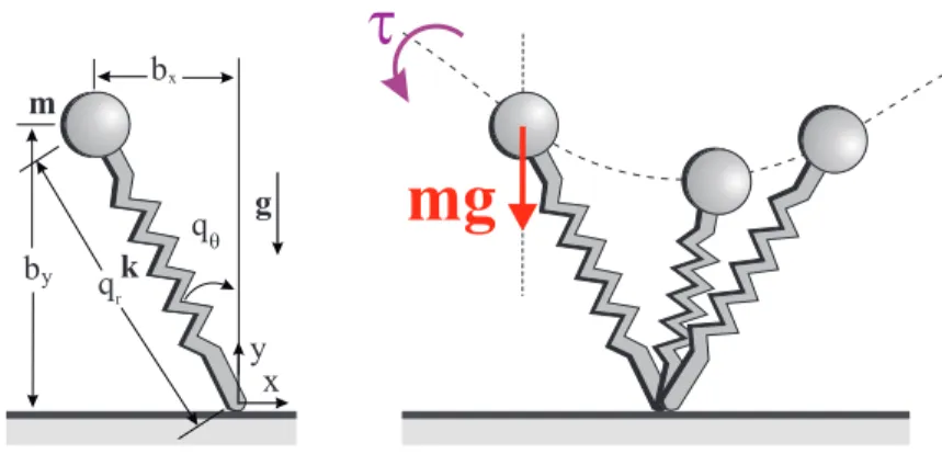 Figure 3.2: The effect of gravity on the angular momentum: τ , gravitational torque on the spring-mass hopper