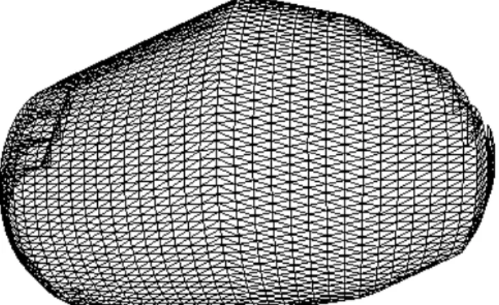 Figure 3.11: Wireframe 3D mesh