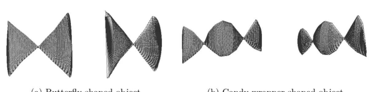Figure 4.6: Different wireframe examples of 3D objects constructed with complex polygon inputs
