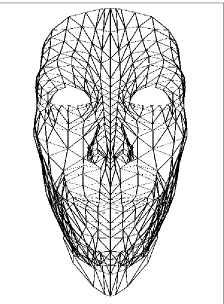 Figure 3.6: Wireframe display of the face model.