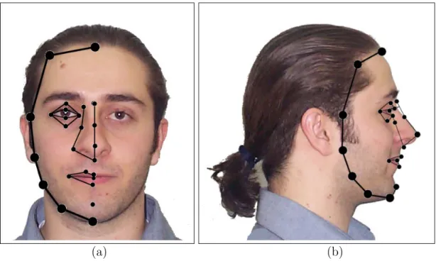 Figure 4.5: The facial features used for deformation process: (a) frontal view, and (b) lateral view.