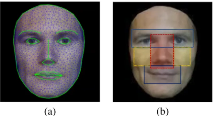 Fig. 1. (a) Normalized/cropped face image, the tracked landmarks, and (b) the deﬁned patches on eyes &amp; eyebrows, nose, mouth, and cheek regions for kinship veriﬁcation experiments.