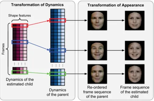 Fig. 4. Generation of the image sequence (whole face) of the estimated child.