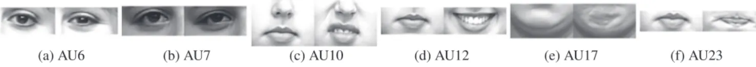 Fig. 7. Action units having the highest base rates in our smile and disgust datasets. Images are from CK+ dataset, ©Jeffrey Cohn.