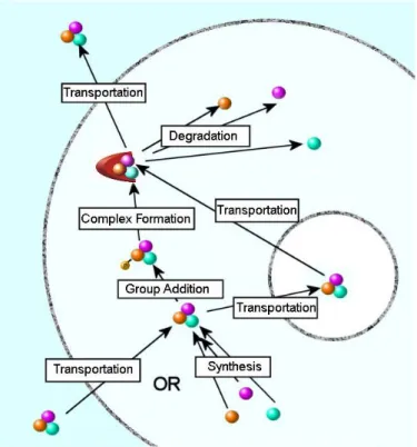 Figure 2: Life cycle of a molecule: