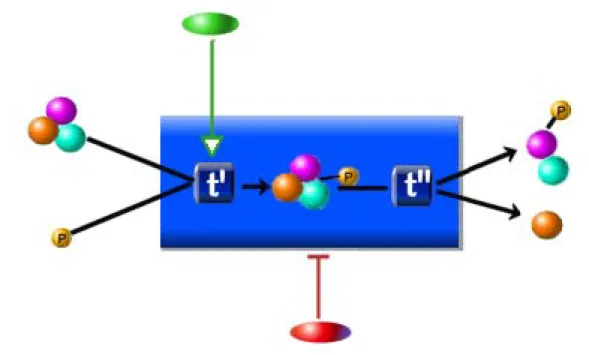 Figure 4: PATIKA summary.