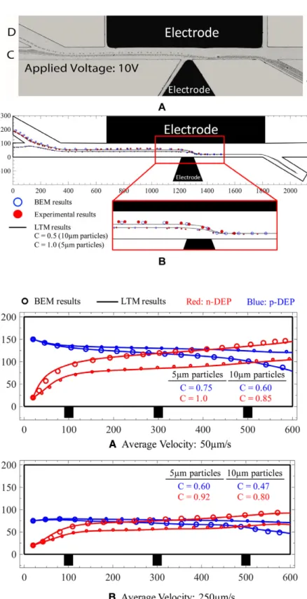 Figure 2. Comparison of BEM results with ex- ex-periments and LTM (AC-DEP): (A) experimental, (B) comparison.