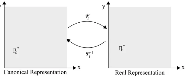 Figure 3.2: An illustration of the tissue in both of its representations. A point p c ∈ T c is mapped to p r ∈ T r through the time dependent diffeomorphism ψ.