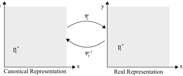 Figure 3.2: An illustration of the tissue in both of its representations. A point p c ∈ T c is mapped to p r ∈ T r through the time dependent diffeomorphism ψ.