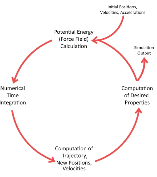 Figure 1.9 A flowchart that shows a very basic running algorithm of a MD process. 