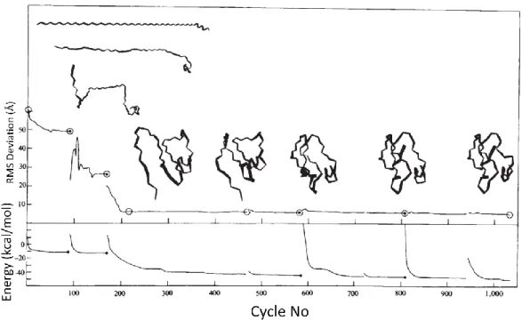 Figure 1.10 Results of protein folding experiments done by Levitt and Warshel. Image  has been reproduced from their 1975 Nature paper [34]