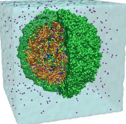 Figure 1.12 MD simulation of a single satellite tobacco mosaic virus in liquid water  environment