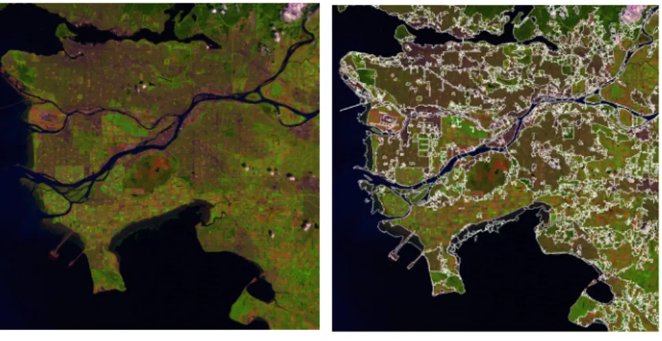 Fig. 1. False color representation of a LANDSAT scene and the region decomposition obtained after applying the split-and-merge algorithm to the results of a pixel-based Bayesian classiﬁer