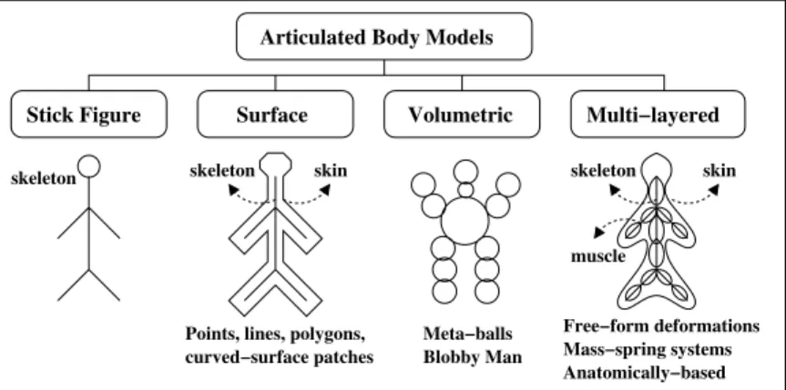Fig. 7.1. Taxonomy of articulated body models