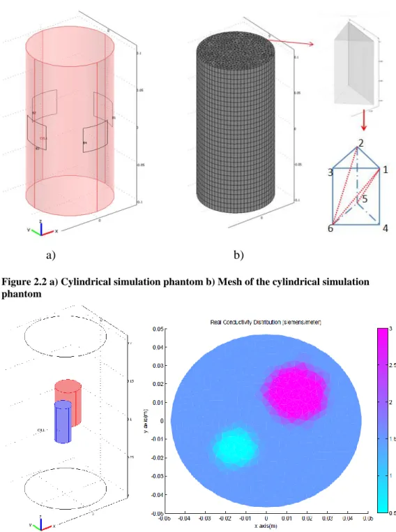 Figure 2.2 a) Cylindrical simulation phantom b) Mesh of the cylindrical simulation  phantom 