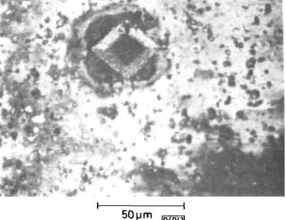 Fig. 3 Acoustic image of an aluminium surface with a resolution about 0-8 urn (X Q  = 1 fim)