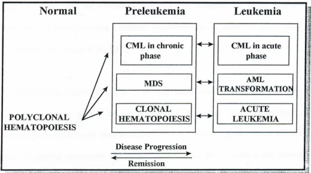 Figure 2  :  Clonality and Transformation in Acute Leukemia