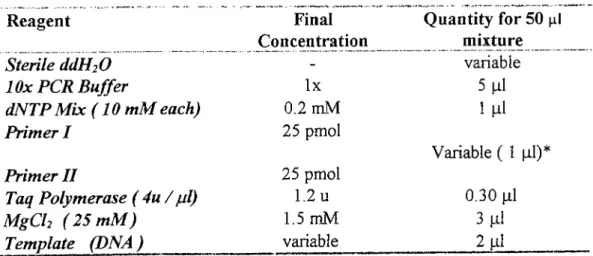 Table  13  :  The Components of PCR Reaction Mixture