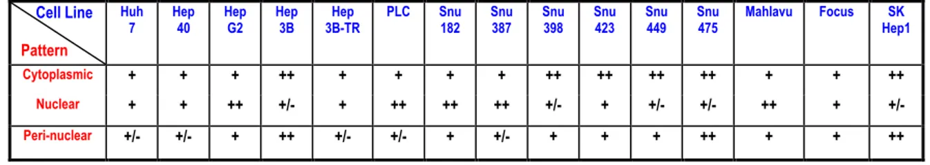 Table  4.1.3:  DUSP10  staining  patterns  of  15  HCC  cell  lines  according  to  immunofluorescence: