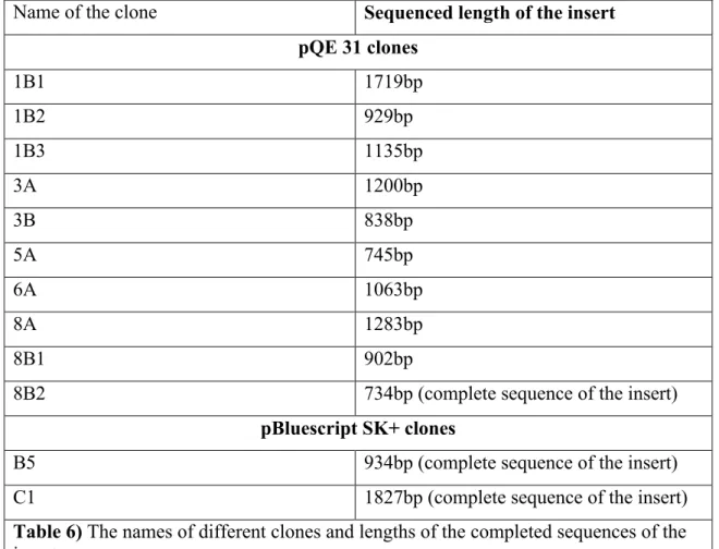 Table 6) The names of different clones and lengths of the completed sequences of the  inserts