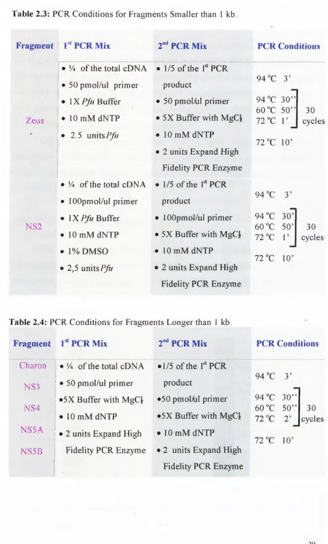 Table 2.3:  PCR Conditions for Fragments  Smaller than  1  kb. 