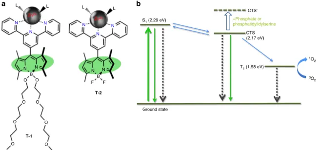 Fig. 2 The structures of the molecular automata T-1 and T-2 and the Jablonski diagram depicting processes involved