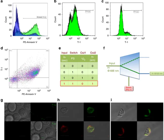 Fig. 4 T-1 signals apoptosis by switching to diagnostic mode. a PE-Annexin labels most of the cells incubated with T-1 under light irradiation (Annexin V ( +) region of the green area)