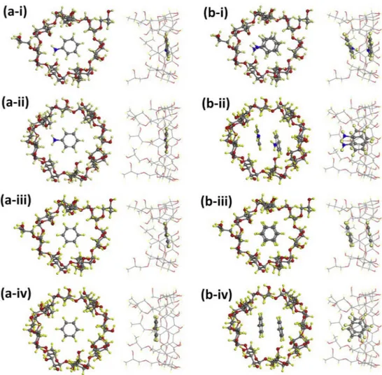 Fig. 5. Side and top view for (a) 1:1 and (b) 2:1 M ratio of optimized structures of (i) aniline: HP β CD, (ii) aniline: HP γ CD, (iii) benzene:HP β CD and (iv) benzene: HP γ CD inclusion complexes