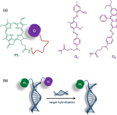 Figure 4. Energy transfer based quenching of  1 O 2  production 