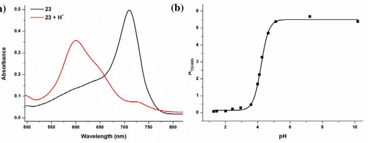 Figure 18. Electronic absorption spectra of protonated and neutral compound 33 in 40% 