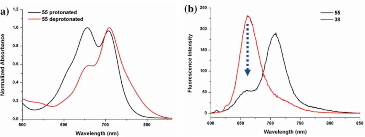 Figure 24. Electronic absorption spectra of neutral (black) and deprotonated (red) forms of  micellar compound 55 in aqueous solution (a), comparison of fluorescence spectra of neutral 
