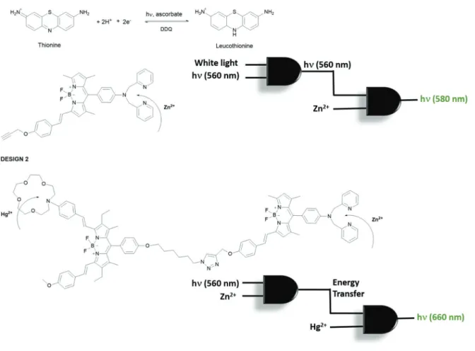Fig. 10 Structures of physically integrated AND logic gates and their logic diagrams.