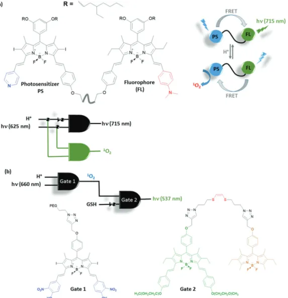 Fig. 20 An OR molecular logic gate for prodrug (Dox) activation.