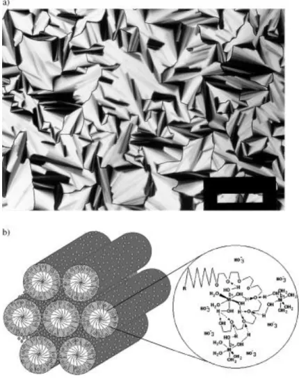 Figure 1.8.1: a) A POM image of [Cd(H 2 O) 4 ](NO 3 ) 2  in C 12 H 25 (CH 2 CH 2 O) 10 OH and b) a  schematic representation of a hexagonal LLC phase, the small circles represent metal 