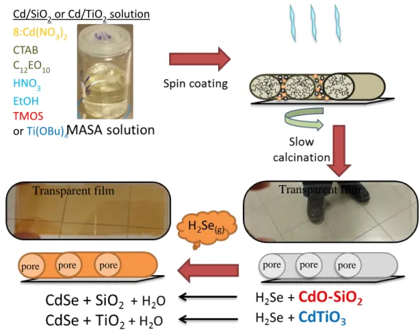 Figure  1.6.    Schematic  presentation  of  the  MASA  process  and  further  H 2 Se  treatments