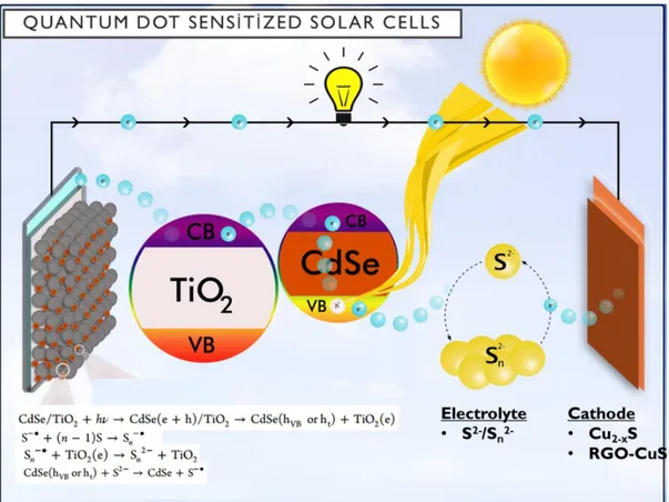 Figure 1.12. Schematic presentation of electron pathway in quantum dot sensitized  solar cells  