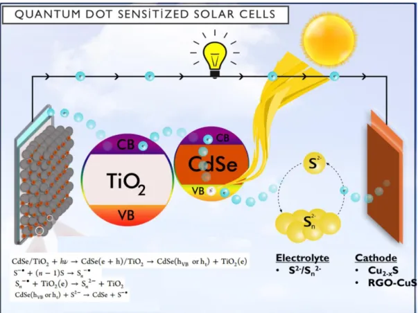 Figure 1.12. Schematic presentation of electron pathway in quantum dot sensitized  solar cells  