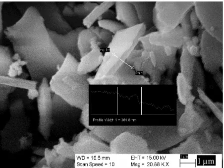 Figure 3.2. SEM images of the meso-CdSe-TiO 2  film coated at 1000 RPM. 