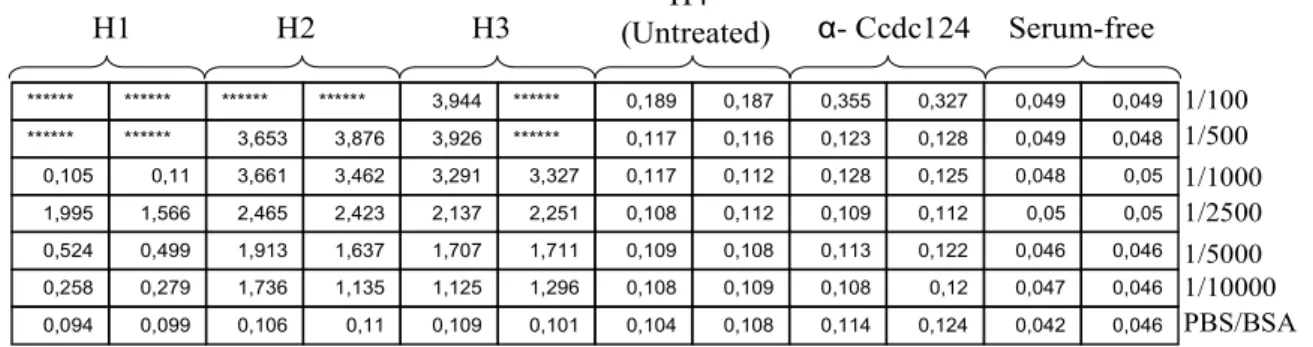 Figure  4.1:  ELISA  showing  antibody  presence  within  serum  isolated  from  three  immunized  mice belonging to the first group (H1, H2, H3)