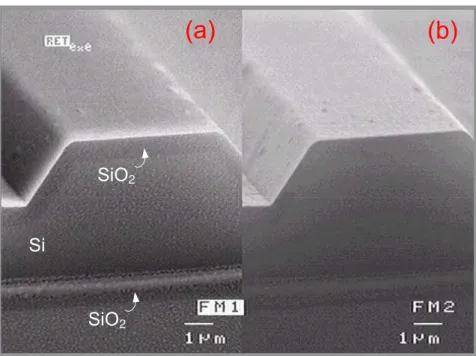 Figure 2.7: SEM micrographs of a SOI rib waveguide defined through KOH etching. (a) In topographic view of the waveguide facet, different materials can be identified